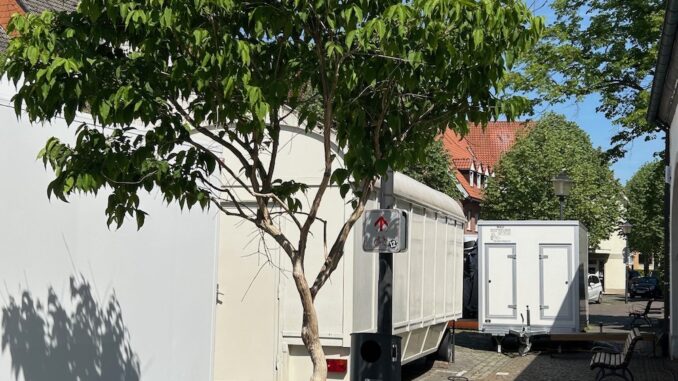 202504_Foto Bepflanzung Stiftsmarkt Kopie