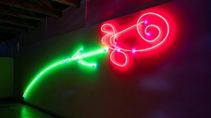 Neonrose, Fotografin Angela von Brill, Rechte Heinrich W. Risken Stiftung kl Kopie