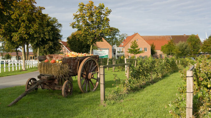 0905 Kopie